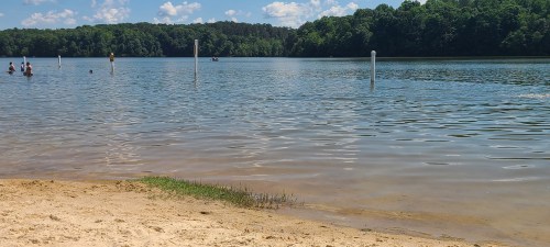 A serene lake scene with people swimming, sandy shore, and lush green trees in the background under a blue sky.