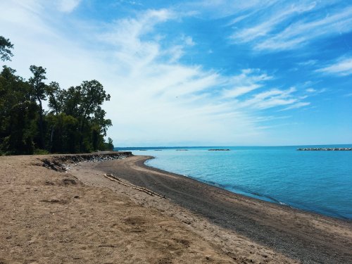 A serene beach scene with sandy shore, calm blue water, and trees lining the coast under a clear sky.