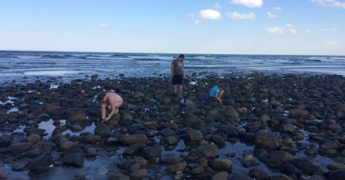 People exploring rocky beach at low tide, with waves and blue sky in the background.
