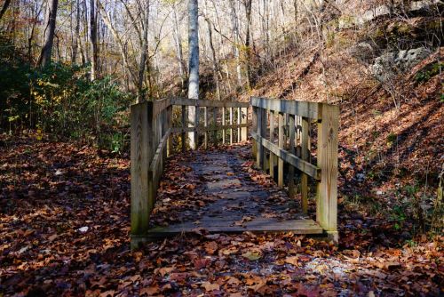 A wooden bridge surrounded by autumn leaves in a forested area with trees in the background.