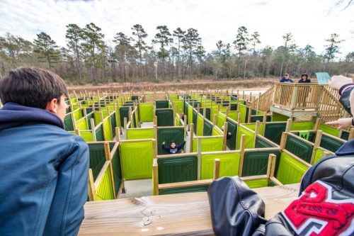 Aerial view of a maze with green walls, surrounded by trees, with people observing from a wooden platform.