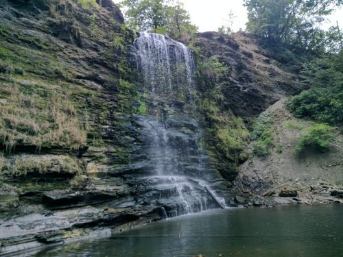 A serene waterfall cascading down rocky cliffs into a calm pool, surrounded by lush greenery.