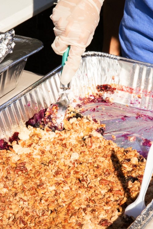 A gloved hand scoops a serving of berry crumble from a metal tray, revealing a golden topping and purple filling.
