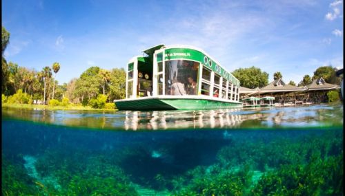 A green boat glides through clear water, surrounded by lush greenery and a blue sky.