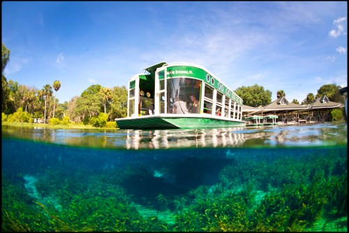 A glass-bottom boat floats above clear water, revealing underwater vegetation and a scenic landscape in the background.
