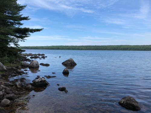 A serene lake scene with smooth rocks along the shore and lush green trees in the background under a clear blue sky.
