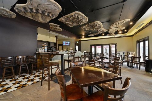 Modern restaurant interior with wooden tables, chairs, and unique ceiling decor. Bright and inviting atmosphere.