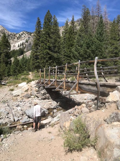 A wooden bridge spans a rocky stream in a forested area, with a person walking nearby under a blue sky.