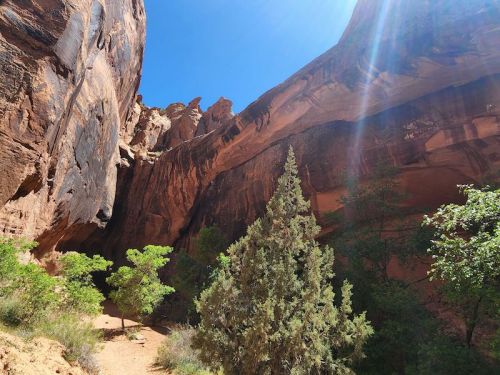 A sunlit canyon with towering rock formations and green trees along a sandy path.