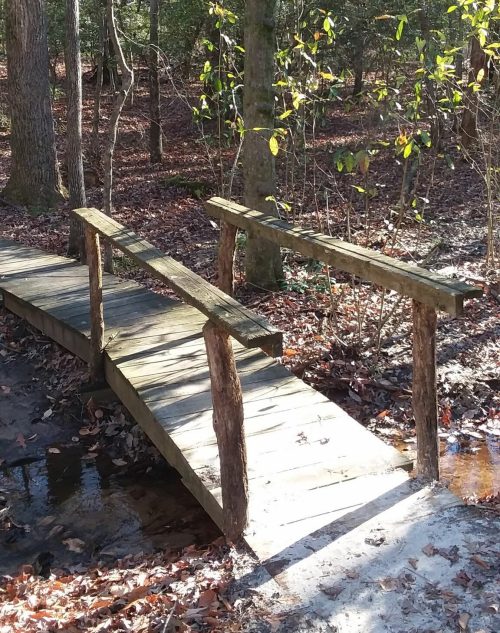 A wooden bridge over a small stream, surrounded by trees and fallen leaves in a serene forest setting.