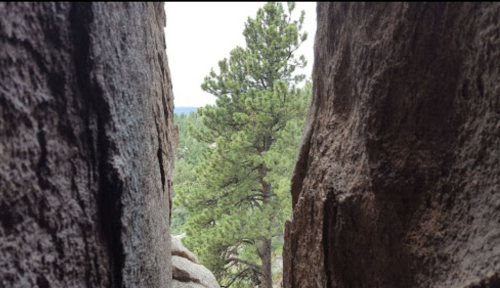 A narrow rock crevice frames a view of a tall green tree against a cloudy sky.