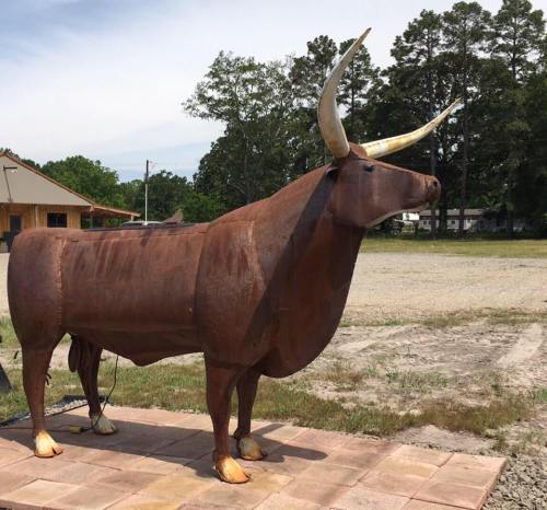 A large, rusted metal sculpture of a longhorn steer with prominent horns, set in an open field.