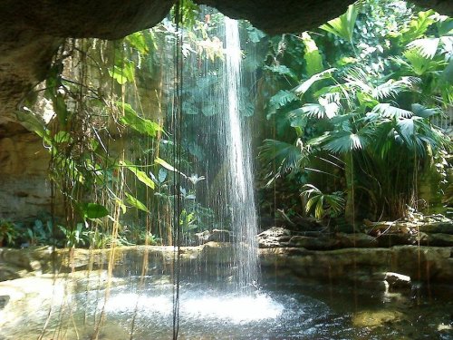 A serene waterfall cascades into a tranquil pool, surrounded by lush green foliage and tropical plants.