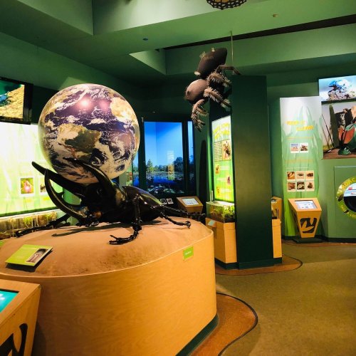 A colorful exhibit featuring a globe and interactive displays in a nature-themed environment.