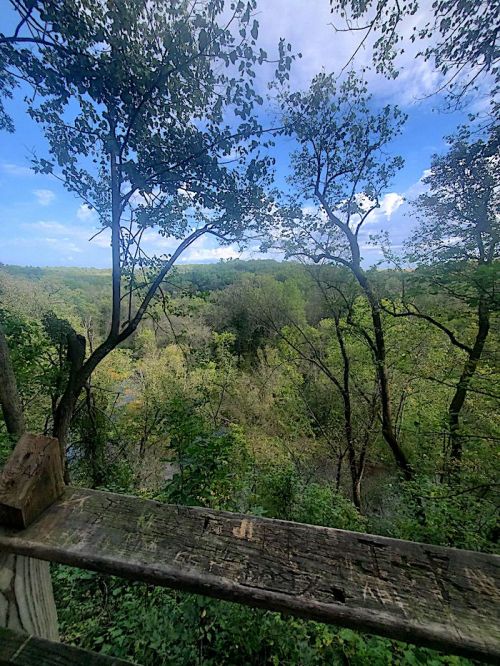 A scenic view of a lush green forest with trees and a blue sky, seen from a wooden platform.