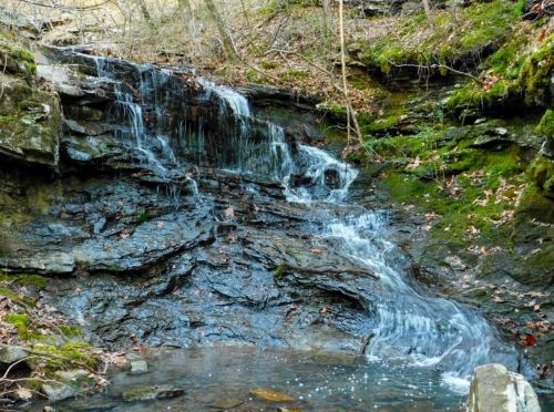A serene waterfall cascading over rocky terrain, surrounded by lush greenery and fallen leaves.