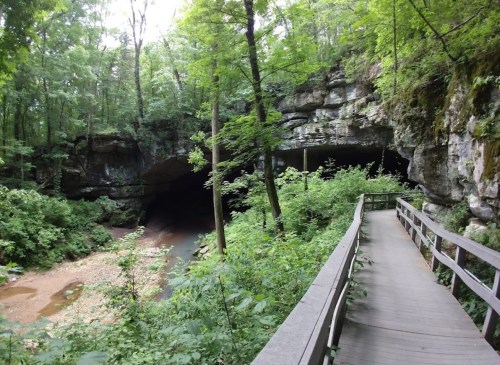 A wooden walkway leads through lush greenery to a cave entrance surrounded by trees and rocky cliffs.