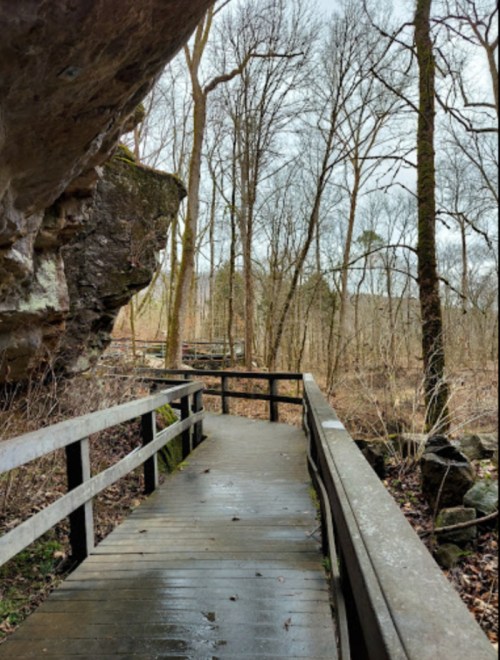 A wooden pathway winds through a forest, flanked by bare trees and rocky outcrops on a cloudy day.