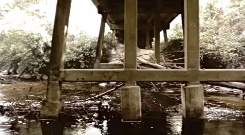 Underneath a bridge, with concrete pillars reflected in calm water and surrounded by lush greenery.