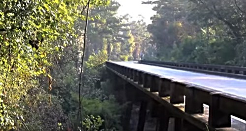 A narrow, elevated road surrounded by lush greenery and trees, with sunlight filtering through the foliage.