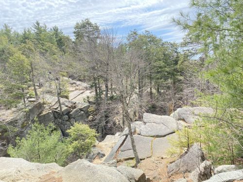 A rocky landscape with scattered trees and a cloudy sky, showcasing a natural, rugged terrain.