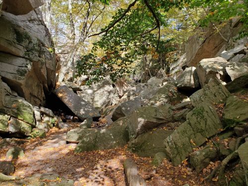 A rocky landscape with large boulders, surrounded by trees and autumn leaves on the ground.