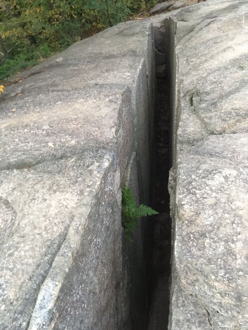 A narrow crack in a large rock formation, with a small fern growing in the crevice.