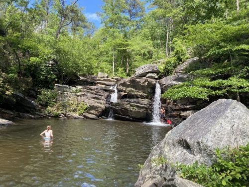 A serene natural scene featuring a small waterfall and people swimming in a clear pool surrounded by lush greenery.