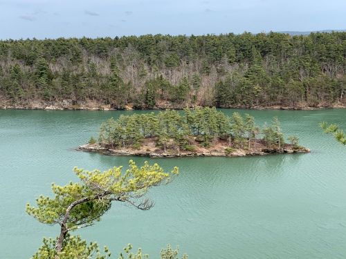 A small island with trees surrounded by calm, turquoise water and a forested shoreline in the background.