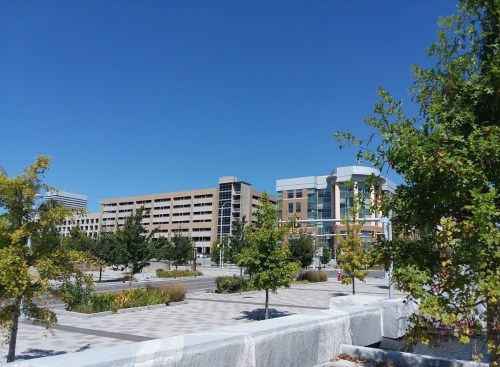 A sunny urban scene featuring modern buildings, trees, and a clear blue sky.