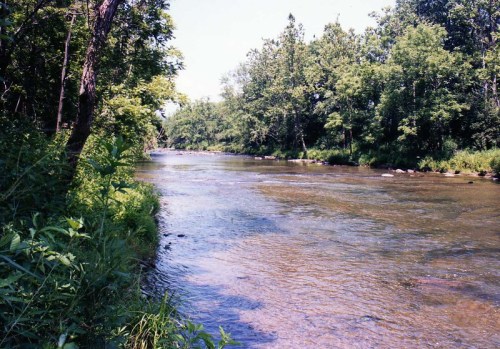 A serene river flows through a lush green landscape, surrounded by trees and vegetation on both banks.