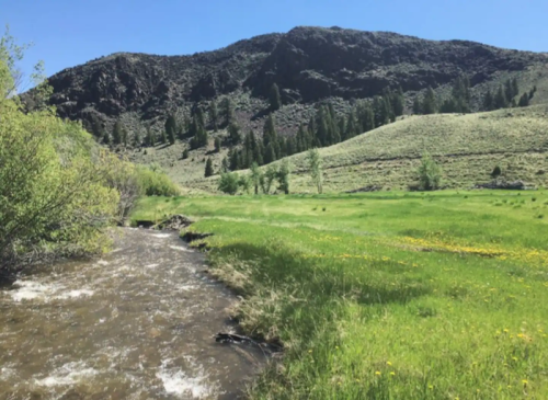 A flowing river beside lush green fields and rolling hills under a clear blue sky.