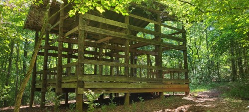 A wooden structure with an open frame, surrounded by lush green trees in a forested area.