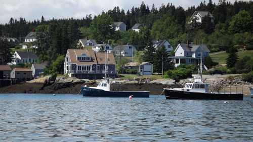 Two boats float in calm water near a coastal village with green hills and houses in the background.