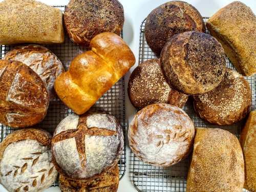 A variety of freshly baked breads cooling on wire racks, including loaves and round rolls with different textures and toppings.