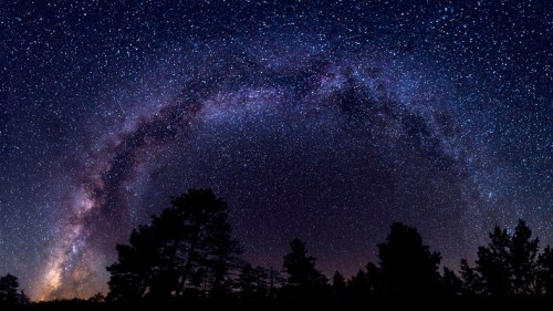 A stunning night sky filled with stars, featuring a vibrant Milky Way arching over silhouetted trees.