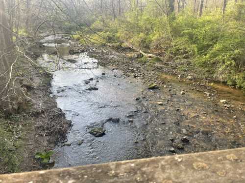 A serene stream flows through a wooded area, surrounded by greenery and rocks along the banks.