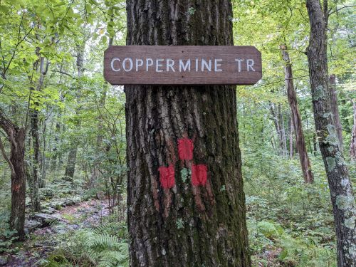 A wooden sign reading "COPPERMINE TR" attached to a tree, with red trail markers below, surrounded by lush green forest.