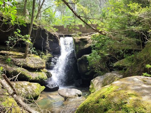 A serene waterfall cascades over rocks, surrounded by lush greenery and trees in a tranquil forest setting.