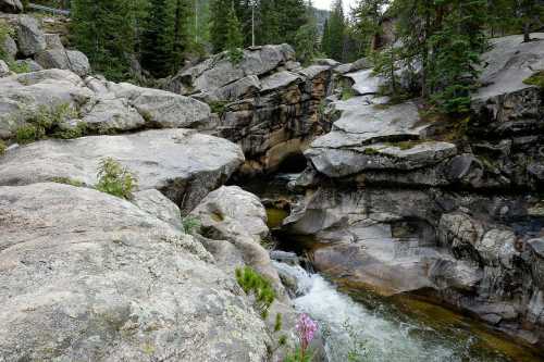 A rocky landscape with a flowing river surrounded by trees and boulders, creating a serene natural scene.