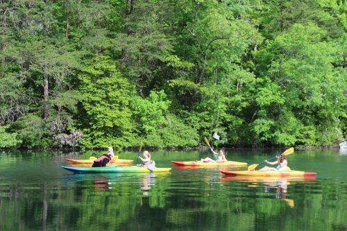 Four people kayaking on a calm lake surrounded by lush green trees.