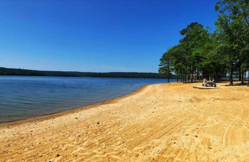 A sandy beach by a calm lake, surrounded by trees under a clear blue sky. People are enjoying the area in the distance.