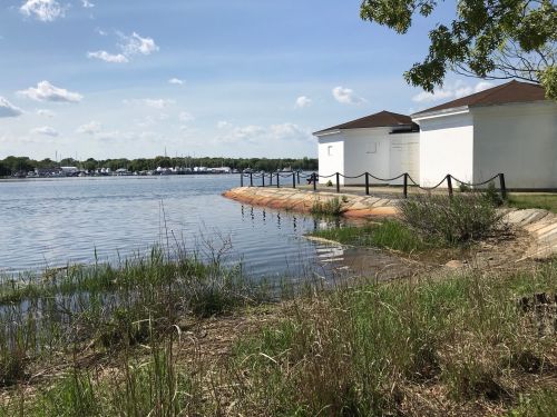A calm waterfront scene with grassy banks, a wooden fence, and buildings beside a lake under a clear blue sky.