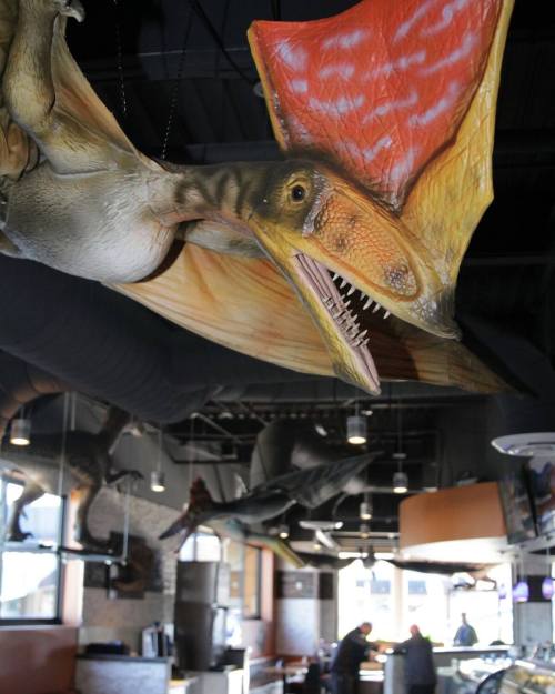A dinosaur model hangs from the ceiling of a restaurant, adding a whimsical touch to the interior decor.