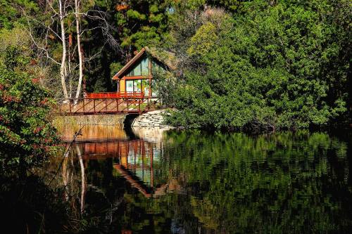 A serene cabin by a calm lake, surrounded by lush greenery and reflecting in the water.