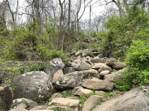 A rocky path through a wooded area, surrounded by trees and greenery under a cloudy sky.