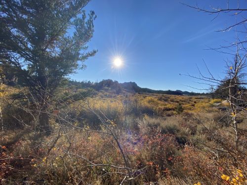 A sunlit landscape with vibrant autumn foliage, trees, and distant mountains under a clear blue sky.