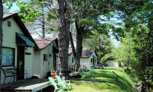 A row of cozy cabins surrounded by trees, with green chairs on a grassy area in front.