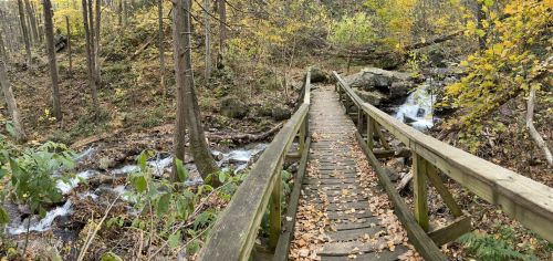 A wooden bridge crosses a stream in a forest with autumn foliage and rocky terrain.