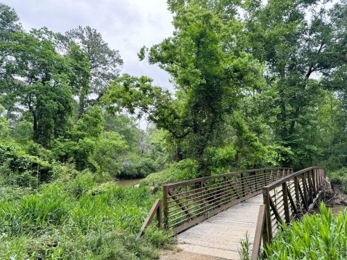 A wooden bridge crosses a lush, green landscape with trees and a calm waterway in the background.